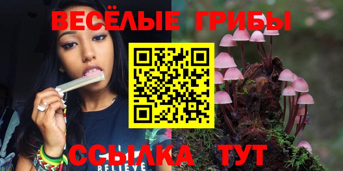 Галлюциногенные грибы MAGIC MUSHROOMS Ивантеевка