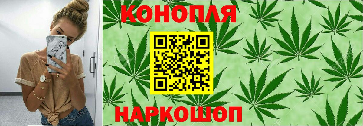 Бошки марихуана OG Kush Ивантеевка